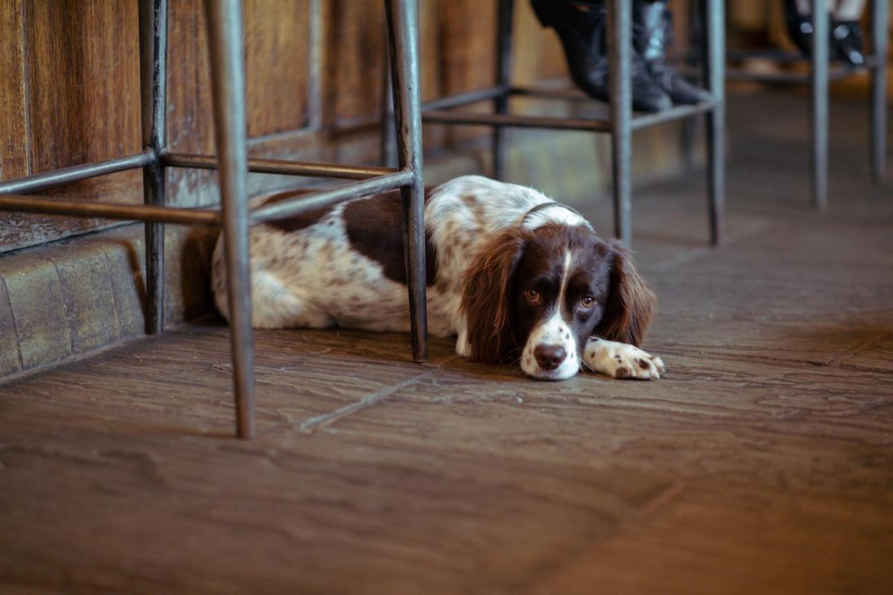 The Rising Sun Inn West Bagborough Eksteriør bilde